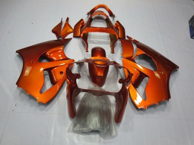 Mejores 2000-2002 Naranja Kawasaki ZX6R Carenados Moto